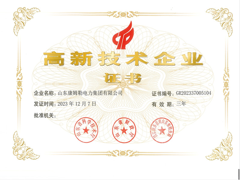 高新企業證（zhèng）書（shū）_副本