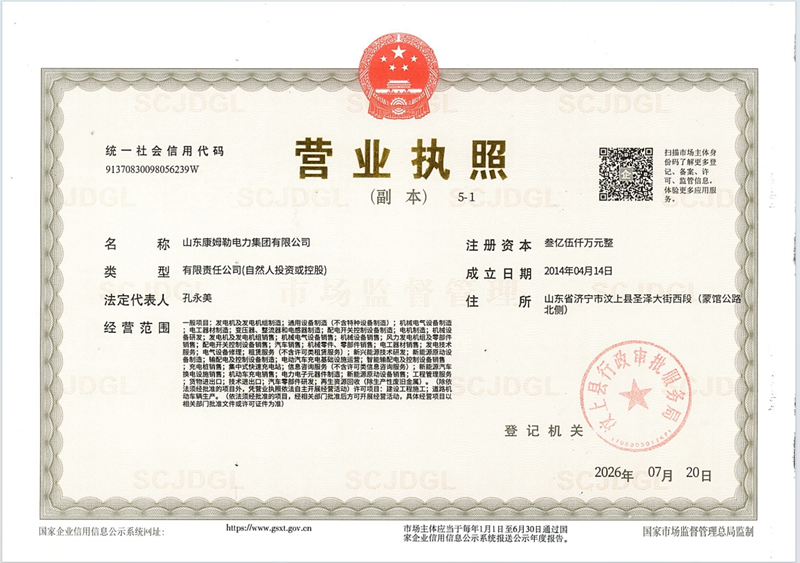 營業執照 叼嘿视频影院電力集（jí）團（tuán）_副（fù）本